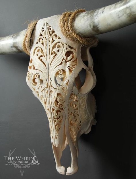 Very cool!!   #skull #art #carvedskull #scrollworkskull #bohostyle Texas Longhorn Cow, Cow Skull Decor, Cow Skull Art, Longhorn Skull, Longhorn Cow, Steer Skull, Antler Art, Smart Tiles, Animal Skull