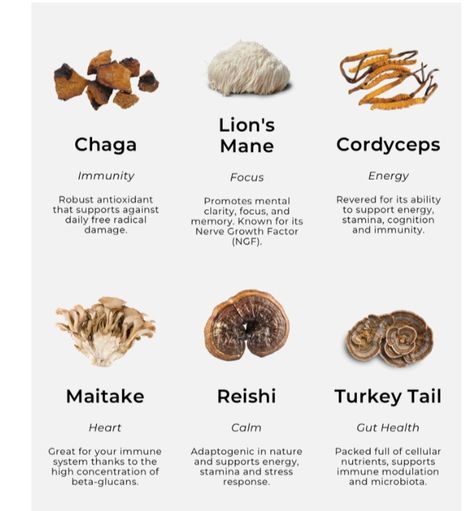 Herb Knowledge, Vitamin Foods, Lion's Mane Mushroom, Hormonal Imbalances, Mushroom Benefits, Healthy Food Facts, Mushroom Coffee, Herbs For Health, Naturopathy