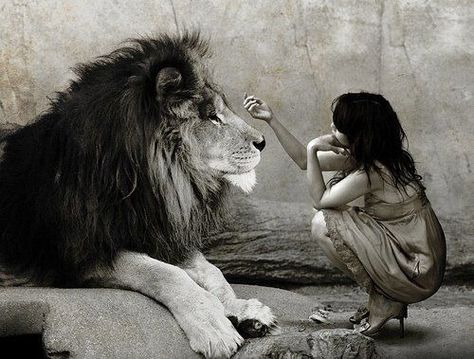 "Courage is resistance to fear, mastery of fear, not absence of fear." Mark Twain Supernova Empath, Leo Aesthetic, Lion Love, Fearless Women, Lion Art, Lion Of Judah, Nelson Mandela, A Lion, Empath