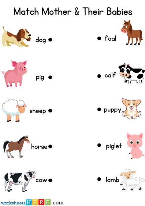 Match Mother and Their Babies Activity PDF Worksheet For Kids - WorksheetsHere.com Animals And Their Babies Worksheet, Animals And Their Babies, Different Types Of Animals, Babies Names, Goat Kidding, Animal Names, Seal Pup, Worksheet For Kids, Animal Babies