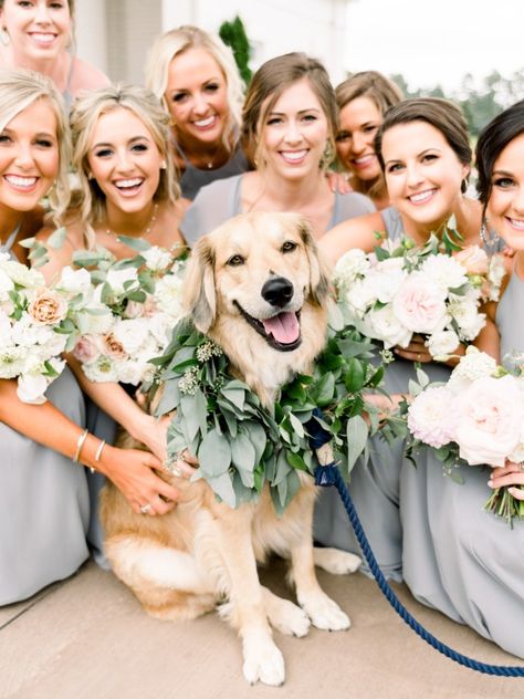 Dog Wedding Photos, Photos With Dog, Boda Mexicana, Wedding Picture Poses, Rope Leash, Wedding Pets, Future Wedding Plans, Wedding Photos Poses, Gray Weddings