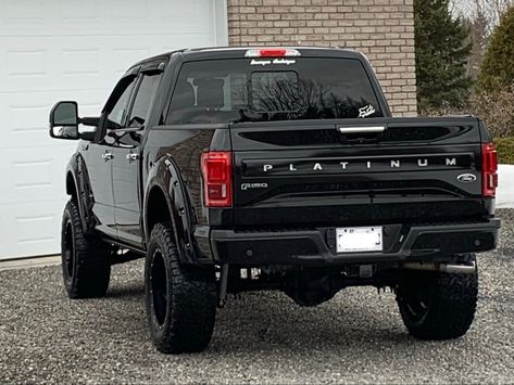 F150 Platinum, Ford Trucks F150, Ford Pickup Trucks, Ford Pickup, Lifted Trucks, Offroad Vehicles, Ford Trucks, Pickup Trucks, Helicopter