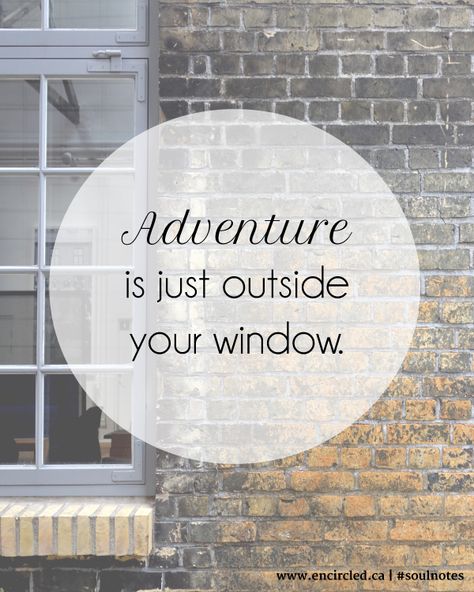 Window Quotes, Can You Find It, Looking Out The Window, Healthy Snacks For Kids, Wonderful Words, Happy Thoughts, Short Quotes, Travel Quotes, Inspire Me