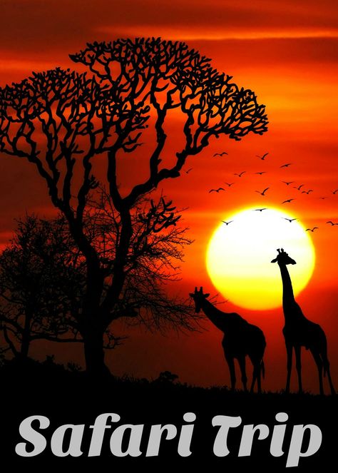 Add A Safari Trip To Your Bucket List ⋆ The Stuff of Success Plain Wallpaper Iphone, Sun Background, Plain Wallpaper, Safari Park, Full Hd Wallpaper, Iphone Design, Giraffes, Animal Wallpaper, Africa Travel