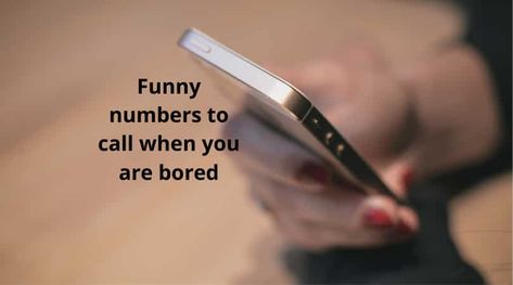 There are numerous funny numbers to call whenever you are feeling bored or stuck at home. Read on to discover more about these numbers and what they entail. Cursed Numbers To Call, Fun Numbers To Call Hilarious, Real Phone Numbers To Prank Call, Phone Numbers To Give To Creeps, Numbers To Call When Bored, Numbers To Give To Creeps, Funny Numbers To Call When Bored, Funny Phone Numbers To Call, Scary Numbers To Call