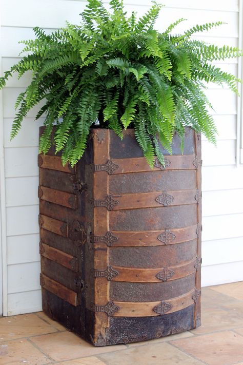 Antique trunk turned sideways aand used as a plant stand. Why didn't I think of that? 🤷‍♀️ Trunk Display Ideas, Decorating With Antique Trunks, Antique Trunks Decor Living Rooms, Repurposed Trunk Ideas, Antique Trunk Decor Ideas, Decorating With Trunks, Antique Trunk Decor, Trunk Decorating Ideas, Antique Trunk Makeover