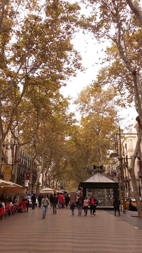 Barcelona in Autumn 🍁🍂🍃💛 - La Ramblas Barcelona Autumn, Dream City, Autumn Vibes, Autumn Aesthetic, Vision Board, Barcelona, Street View, Football, American Football