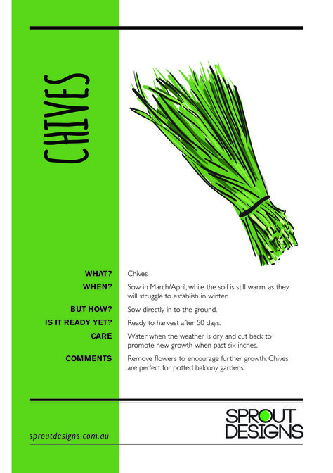 How to grow Chives! Chives Drawing, Chive Illustration, Chive On, Chives Growing, Chives Flowers, Growing Chives, Chives Plant, Diy Raised Garden, Fruit Illustration