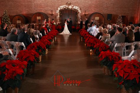 Poinsettas on aisle Xmas Wedding Ideas, Christmas Wedding Themes, Christmas Wedding Inspiration, Wedding Flowers Greenery, Daisy Wedding Flowers, Navy Wedding Flowers, Bright Wedding Flowers, Neutral Wedding Flowers, Wedding Isles