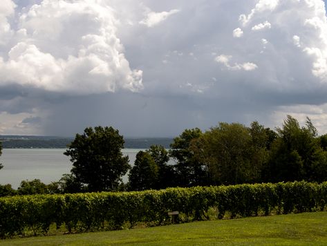 Seneca Falls, Cayuga Lake, Erie Canal, Large Tent, Lake Day, Types Of Wine, Finger Lakes, Historical Monuments, Eastern Shore