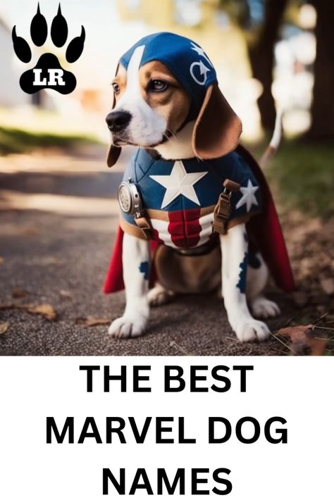 Fantastic Marvel Dog Names | Labrottie.com Marvel Names For Dogs, Marvel Dog Names, Disney Dog Names, Avengers Names, Marvel Names, Dogs Names List, All Disney Villains, Boy Dog Names, Disney Names