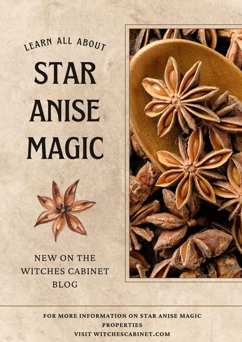 How to work with star anise magic properties in the kitchen and in ritual. Anise Magical Properties, How To Use Star Anise, Star Anise Magical Properties, Star Anise Recipes, Anise Candy, Sindhi Food, Kitchen Witchcraft, Moon Spirit, Wicca Recipes