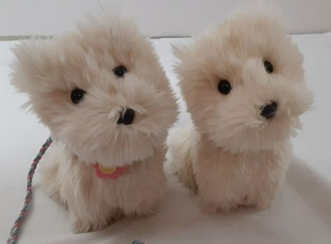 2 American Girl Doll Pet Coconut Dogs 2001 Version White Westie Retired Lot American Girl Doll Pets, Bear Doll, Terrier Dogs, Collar And Leash, American Girl Doll, Girl Dolls, Soft Plush, Plush Toys, American Girl