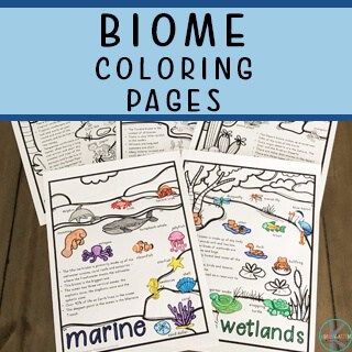 Ecosystem For Kindergarten, Biome Activities For Kids, Biome Projects For Kids, Biome Coloring Pages, Biome Project Ideas, Biome Activities, Biome Anchor Chart, Biome Worksheets, Ecosystem Coloring Pages