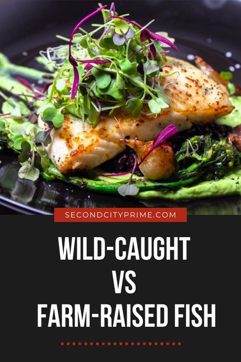 Ever wondered what the difference between Wild Caught vs Farm Raised fish? Our latest blog has all the necessary information you will need to make the best decision for yourself.