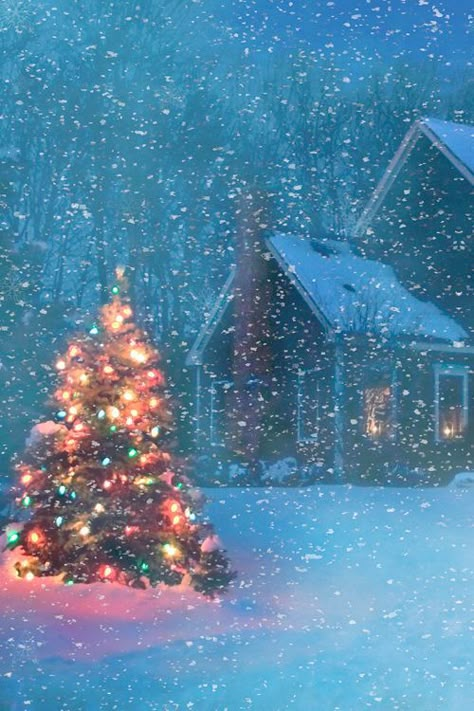 There's just something about the way colorful lights shine through the snow. The Snow, The Middle, Trees, Yard, Christmas Tree, Christmas