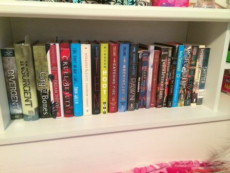 Books read by Elizabeth: Divergent (2011) & Insurgent (2012) by Veronica Roth; City of Bones (2007) by Cassandra Clare; The Dream Thieves (2013) by Maggie Stiefvater; Cruel Beauty (2014) by Rosamund Hodge; The Fault in Our Stars (2012) by John Green; Eleanor & Park (2013) by Rainbow Rowell; Ten (2012) by Gretchen McNeil; Hoot (2002) by Carl Hiaasen; Catching Fire (2009) & Mockingjay (2010) by Suzanne Collins; Pawn (2013) by Aimee Carter; The Outsiders (1967) by S.E. Hinton; Harry Potter... The Dream Thieves, Dream Thieves, Cruel Beauty, S E Hinton, Carl Hiaasen, Eleanor And Park, Maggie Stiefvater, Rainbow Rowell, Veronica Roth