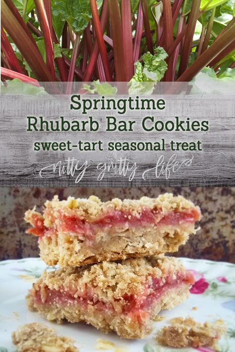 Rhubarb Cookies, Rhubarb Bars, Rhubarb Desserts, Dessert Aux Fruits, Rhubarb Recipes, Bar Cookies, Sweet Tarts, Blow Your Mind, Cookie Bars