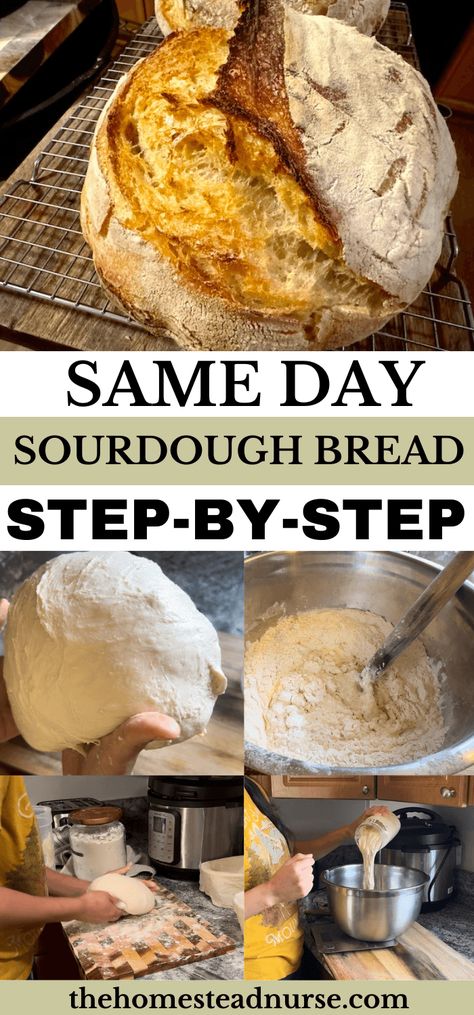 Fastest Sourdough Bread Recipe - The Homestead Nurse Homemade Sourdough Bread Recipes, Easy Sourdough Bread Recipe, Recipe Using Sourdough Starter, Whole Wheat Sourdough, Making Sourdough Bread, Dough Starter, Sourdough Starter Discard Recipe, Homemade Sourdough Bread, Bread Starter