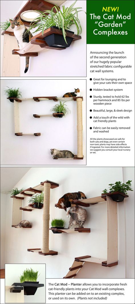 Innovative Product - Fabulous New Cat Wall Shelves with Leaves! Cat Feeding Station Dog Proof, Cat Walkway, Diy Climbing Wall, Cat Apartment, Cat Friendly Plants, Cat Tree Designs, Cat Climbing Wall, Katt Grejer, Cat Climber