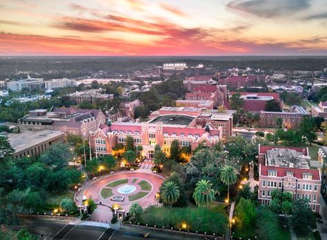 Florida State University Fsu Campus Aesthetic, University Of Florida Campus, Florida A&m University, Florida State Aesthetic, Arizona College Aesthetic, Florida University Aesthetic, Fsu College Aesthetic, Florida State University Aesthetic, Oklahoma State University Aesthetic