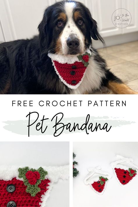 Have your pet looking all ready and jolly for Christmas with this adorable Festive Cat Dog Bandana Pattern Free. This easy pattern is perfect for crocheters who wish to include their pets in spreading the holiday cheer with this unique and fun accessory. Crochet Dog Scarf, Free Crochet Christmas Patterns, Crochet Dog Bandana, One Skein Crochet Projects, Useful Crochet Projects, Crochet Christmas Patterns, Collar Patterns, Christmas Cat Collar, Scarf Free Pattern