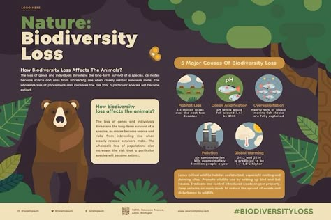 Free vector hand drawn flat biodiversity... | Free Vector #Freepik #freevector #biodiversity #habitat #illustrations #hand-drawn-animals Biodiversity Illustration, Ocean Acidification, Infographic Poster, Tree Signs, Fish Stock, Vector Hand, Design Sketch, Animal Drawings, Book Design