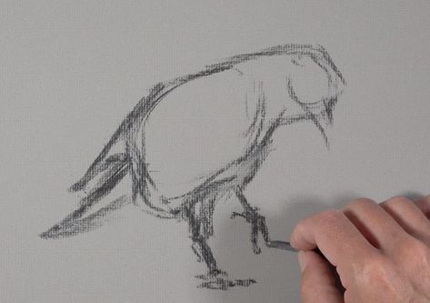 Charcoal Drawing Lesson – Raven Charcoal Drawing Tutorial, Compressed Charcoal, Improve Drawings, Vine Charcoal, Charcoal Paper, Charcoal Sticks, Stick Drawings, Soft Pastel Art, Pastel Crayons