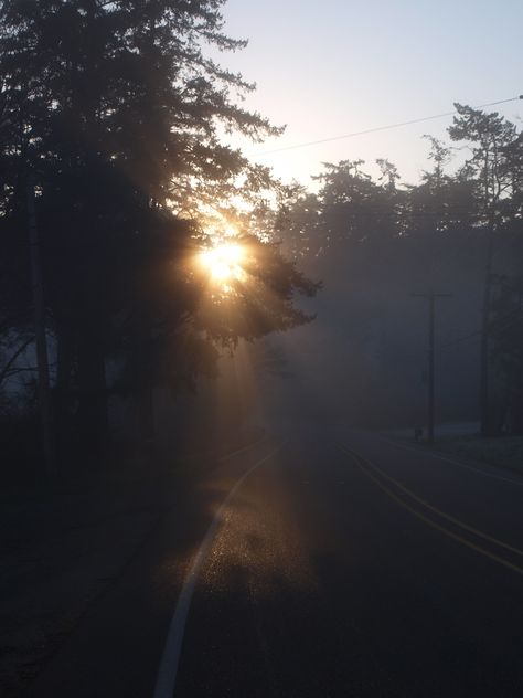 Morning Dawn Aesthetic, Fog At Dawn, Early Morning Aesthetic Dark, Surreal Scenery, Month Animals, Wallace Stevens, Hounds Of Love, Light Codes, Foto Inspo