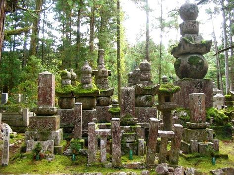 Okunoin Cemetery, Japanese Cemetery, Background References, Wooded Area, Ancient Village, Temple Architecture, Wakayama, Stone Statues, Osaka