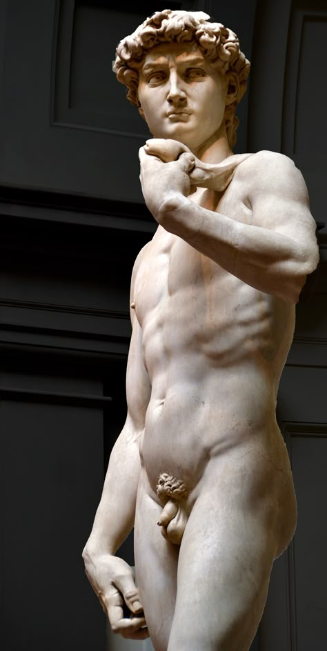 David By Michelangelo, Michelangelo Sculpture, David Michelangelo, Michelangelo Art, Art Deco Exterior, David Sculpture, David Statue, Saint Sebastian, Medieval Era