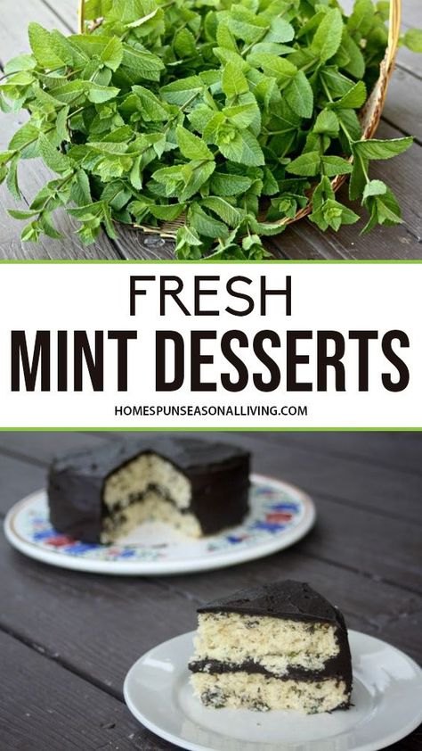 Spearmint Recipes, Mint Recipes Dessert, Mint Recipes Fresh, Mint Desserts, Mint Chocolate Cake, Mint Chocolate Chip Cookies, Mint Cake, Dinner Mints, Mint Chip Ice Cream