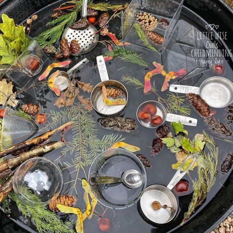 Sensory Water, Leaf Man, Geometric Volume, Water Tray, Nursery Activities, Tuff Tray, Sensory Table, Fall Soups, Water Play