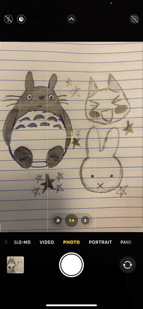 Totoro My Neighbor, Toro Cat Drawing, Miffy Drawing Aesthetic, How To Draw Miffy, Totoro Art Draw, Toro Inoue Drawing, How To Draw Totoro, Miffy Sketch, Acubi Drawing