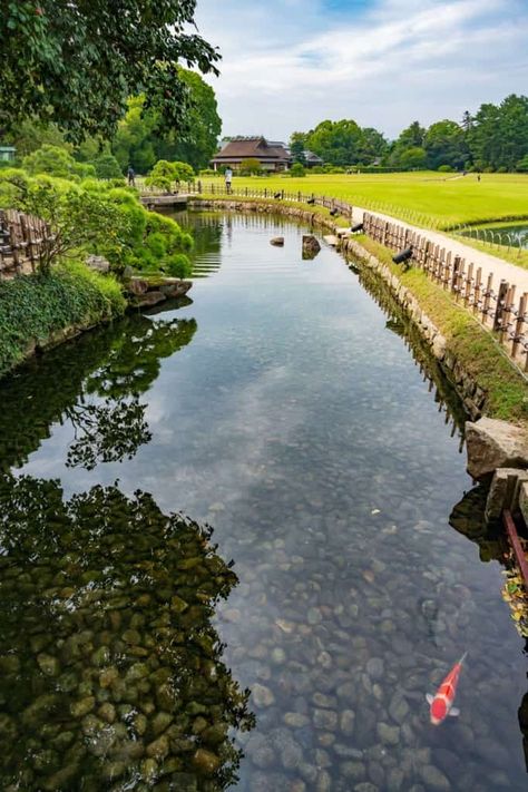 Garden Event, Rest House, Japanese Gardens, Okayama, Running Water, Beer Garden, Light Summer, Summer Beauty, Light Show