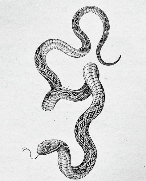 Snake Outline, Snake Painting, Cobra Tattoo, 16 Tattoo, Snake Illustration, Snake Drawing, Back Piece Tattoo, Tattoo Background, Mom Tattoo