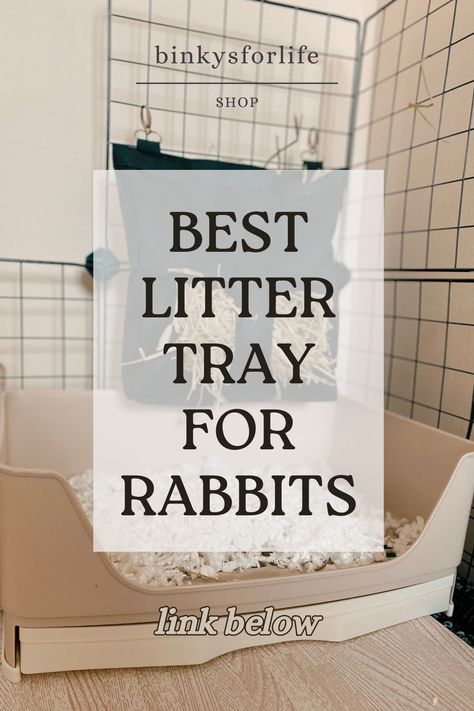 Made from odor and stain resistant plastic, this litter tray is suitable for most breeds of rabbits. It's important that rabbits can do a full 360 in there litter tray and this one is ideal since it has a pull out tray and a mesh bottom so all the mess falls to the bottom tray. Making it cleaner for the rabbit and easier for the owner. 1000% recommend! * for every purchase you make through my link, I will earn a small commission - thank you <3 Rabbit Litter Tray, Breeds Of Rabbits, Rabbit Litter, Potty Trainer, Rabbit Breeds, Large Rabbits, Litter Tray, Box Bed, Small Animals