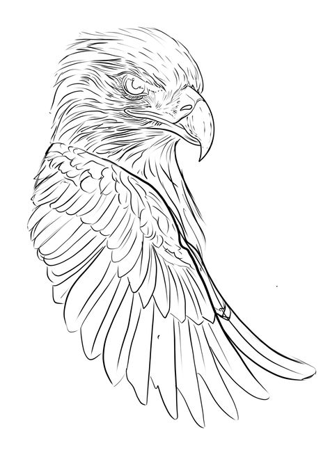 Eagle Tattoo Drawing, Eagle Stencil, Eagle Outline, Bald Eagle Tattoos, Tattoo Stencil Designs, Lion Art Tattoo, Tattoo Linework, Svg Animals, Eagle Drawing