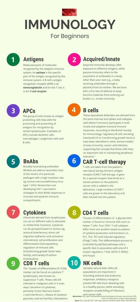 IMMUNOLOGY FOR BEGINNERS #medschool #doctor #medicalstudent #medicalschool Aerobic Exercises, Children Health, Biology Classroom, Adolescent Health, Medical Student Study, Nursing School Survival, Medical Laboratory Science, Meaningful Pictures, Nursing School Studying