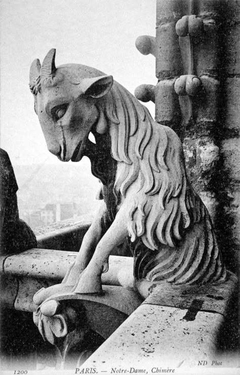 Gargoyles Characters, Gargoyles Art, Gothic Gargoyles, Gothic Drawings, Hybrid Art, Ancient Statues, Stone Architecture, Public Sculpture, Unicorn Art