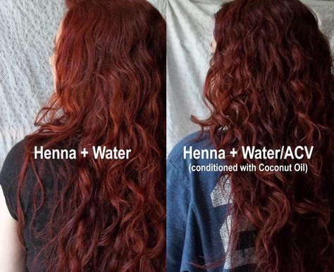 Red Henna Hair, Hair Colour For Green Eyes, Henna Hair Color, Henna Color, Red Henna, Hair Color Unique, Hair Dyes, Henna Hair, Apothecary Bottles