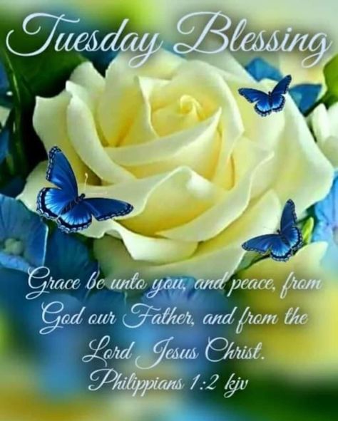 Tuesday Blessings Mornings, Good Morning Wishes Love, Good Morning Thursday Images, Tuesday Quotes Good Morning, Morning Scripture, Blessing Quotes, Tuesday Blessings, Good Morning Tuesday, Monday Blessings