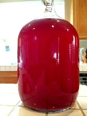 Homemade Plum Wine, Wild Plum Wine Recipe, Home Made Wine Recipes, Plum Moonshine Recipes, Infused Gifts, Plum Wine Recipe, Mead Making, Blackberry Brandy, Wine Making Recipes