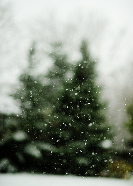 settings for getting this photo, with the snowflakes in focus: exposure 1/8000 sec, Aperature f/1.8, focal length 85 mm, ISO Speed 400, then have something dark (the trees) in the background so the snowflakes will stand out, and manually focus on the snowflakes Snow Is Falling, Snow Falling, Foto Tips, Winter Wonder, Noel Christmas, Homescreen Wallpaper, Merry Little Christmas, Jack Frost, Christmas Inspiration