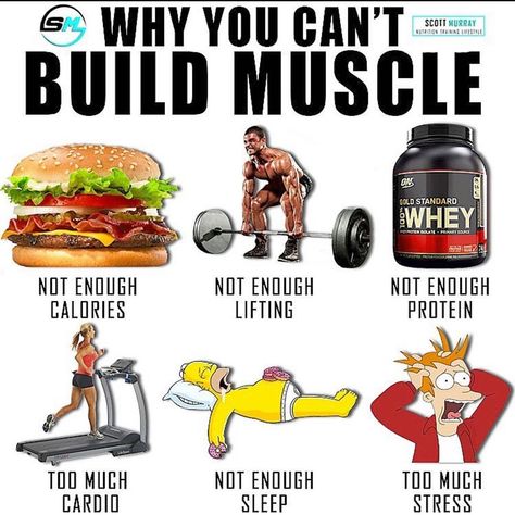 Muscle Gain Meal Plan, Bulking Meals, Tips To Gain Weight, Muscle Building Tips, Muscle Building Diet, Best Protein Powder, Health Fitness Inspiration, Muscle Protein, Building Tips