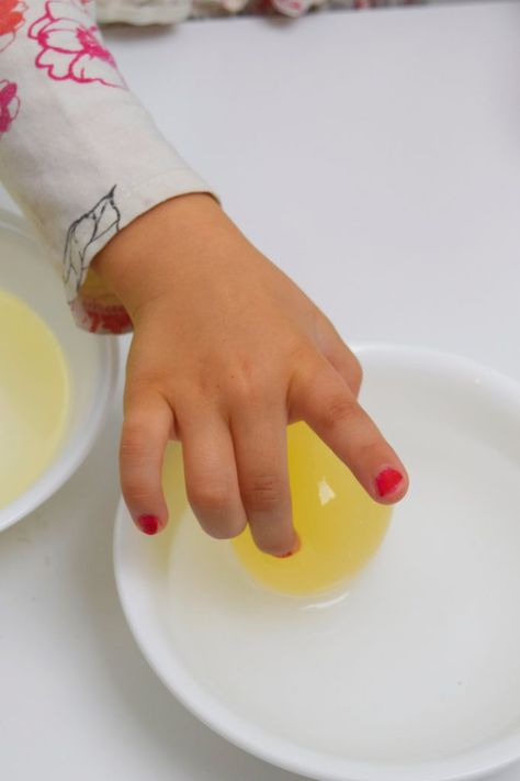 Gross! Egg in Vinegar Science Experiment for Kids | Kids Activities Blog Egg In Vinegar, Egg Experiments, Cool Science Fair Projects, Science Experiment For Kids, Experiment For Kids, Fair Projects, Science Fair Projects, Science Experiment, Science Experiments Kids