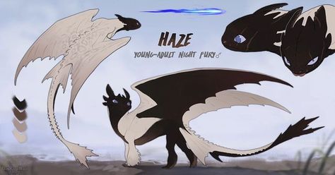 Nightfury Design, Ancient Night Fury, Httyd Names Ideas, Titan Wing Night Fury, Night Fury Anatomy, Httyd Night Light Oc, Httyd Dragons Oc Night Fury, Httyd Fury Oc, Httyd Night Fury Oc