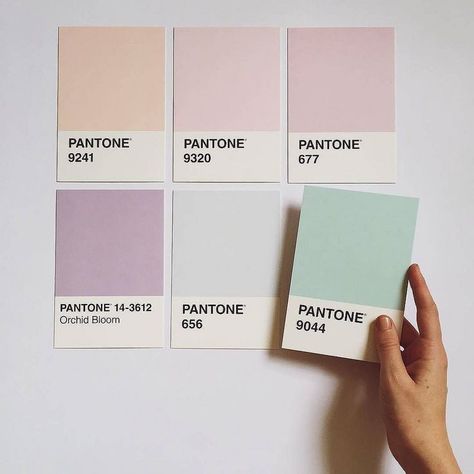 This soothing color palette has us dreaming of soft pastels. 📷 by @katebax #Pantone | por jackdavidson@btinternet.com Visuell Identitet, Pantone Colour Palettes, Pastel Colour Palette, Color Palette Design, Color Inspo, Colour Board, Soothing Colors, Colour Schemes, Color Pallets