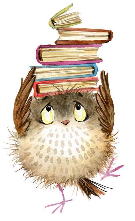 Owl. cute owl. watercolor forest bird. school books illustration. cartoon bird. Owl. cute owl. watercolor forest bird. school illustration. cartoon bird vector illustration Owl Cute, Cartoon Bird, Books Illustration, Cartoon Owl, Owl Watercolor, Owl Books, School Illustration, Watercolor Forest, Cartoon Birds