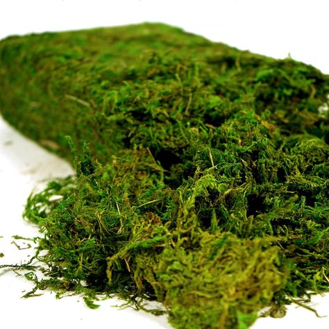 PRICES MAY VARY. Versatile Material - Large pack - 455g of artificial, loose moss pieces is perfect for a range of uses such as floral decor, floral arrangements, vase decoration, bouquets, fairy gardens, terrariums, and DIY crafts. Natural Look - USMOLA fake green moss creates a completely natural, color-enhanced look that is perfect for seasonal centerpieces, fresh floral arrangements, orchid decor, and potted plants. Durable and Low Maintenance - Our artificial moss is durable and will stay s Potted Plant Centerpieces, Enchanted Forest Wedding Theme, Fake Moss, Plant Centerpieces, Garden Centerpiece, Forest Theme Wedding, Faux Moss, Enchanted Forest Wedding, Terrarium Decor